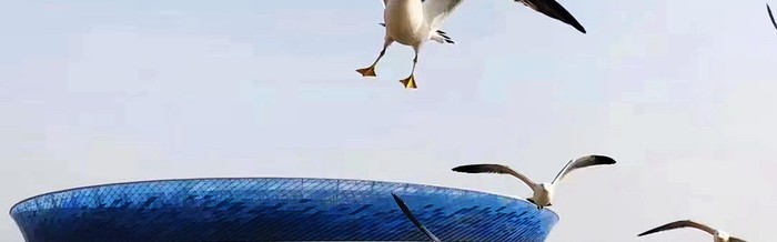 开云官方网站-大连人解散两周年，一直牢记说过的话！大连足球和英博应居安思危|大连人队|大连人职业足球俱乐部|球迷|足球城|俱乐部_新浪体育_新浪新闻