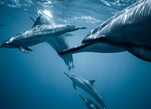 开云官方网站-四年两连跳 广西足球实现“零的突破”